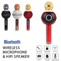 Bezzicen-karaoke-mikrofon-WSTER-WS-878-ss-svetlinni-efekti-wld_WS-878