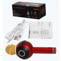 Bezzicen-karaoke-mikrofon-WSTER-WS-878-ss-svetlinni-efekti-wld_WS-878