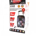 Feiyipu-ES-86-Aktivna-tonkolona-s-LED-svetlini-bezzicen-mikrofon-i-distanconno-8-300W-Bluetooth-FM-Radio-SD-cards-sha_ES-86