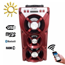 Prenosima-Bluetooth-tonkolona-s-LED-svetlini-Redmaine-MS-268BT-MS-268BT