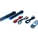 Mosna-karaoke-tonkolona-EOLUTION-BT12A-s-vgraden-usilvatel-12-inca-s-2-bezzicni-mikrofona-i-bluetooth-mosnost-200-W-wld_BT12A