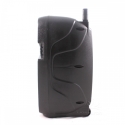 Feiyipu-8-ES-5000A-Aktivna-tonkolona-s-LED-svetlini-bezzicen-mikrofon-i-distanconno-50W-FM-radio-TF-card-USB-Bluetooth-AUX-sha_E