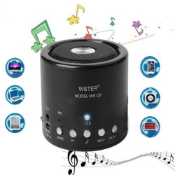 Bezzicna-Wireless-USB-Radio-MP3-AUX-mini-tonkolonka-WS-Q9-wld_WS-Q9