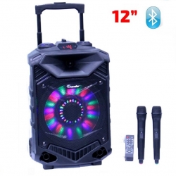 Mosna-tonkolona-200W-12-prenosima-s-LED-displej-i-dva-bezzicni-mikrofona-za-karaoke-MLDTThunder