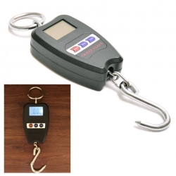 Kantar-s-kuka-za-teglene-na-tezko-do-200-kg-prenosim-kran-S54127