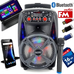 Kompaktna-aktivna-akumulatorna-karaoke-sistema-FEIYIPU-ES-86-8-inch-300W-max-1-mikrofon-4831
