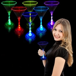 Svetesa-casa-za-martini-1393