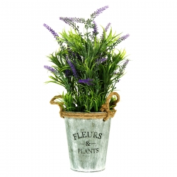 Saksia-lavandula-36-sm-1147951