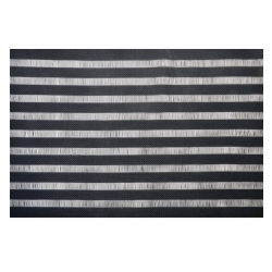 Podlozka-za-hranene-cerno-raje-43-h-30-sm-1148200