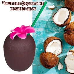 Casa-vv-formata-na-kokosov-oreh-5764