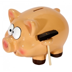 Detska-kasicka-prase-s-cukce-1136219