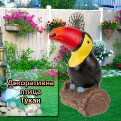 Dekorativna-ptica-Tukan-4224